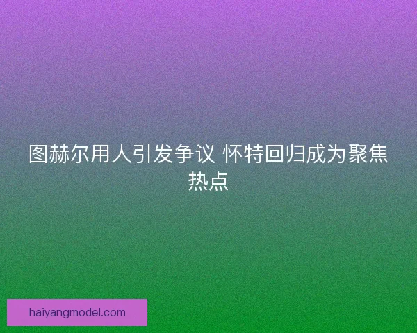图赫尔用人引发争议 怀特回归成为聚焦热点